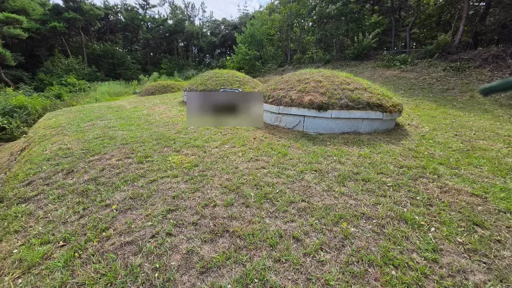 작업 후 사진 4 - 잔디와 봉분 주변이 정리된 모습