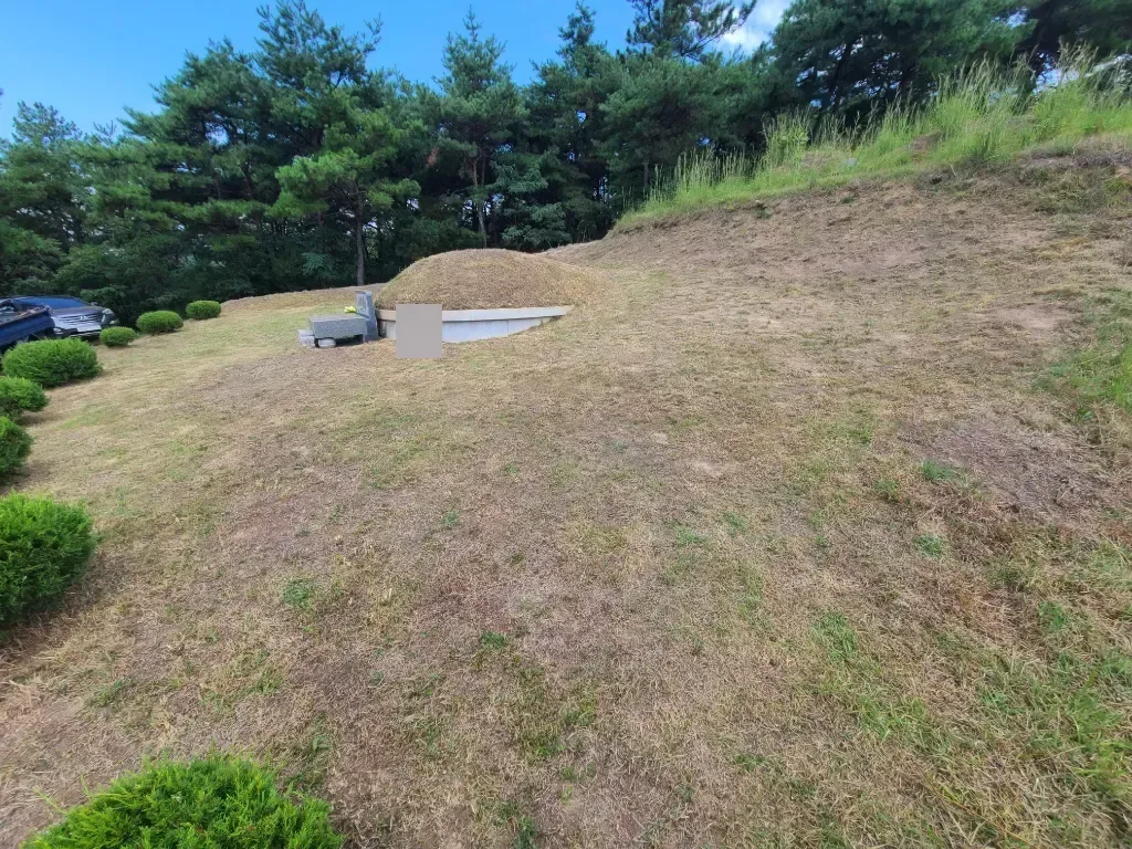 작업 후 사진 2 - 예초로 정돈된 묘역 주변과 경사면