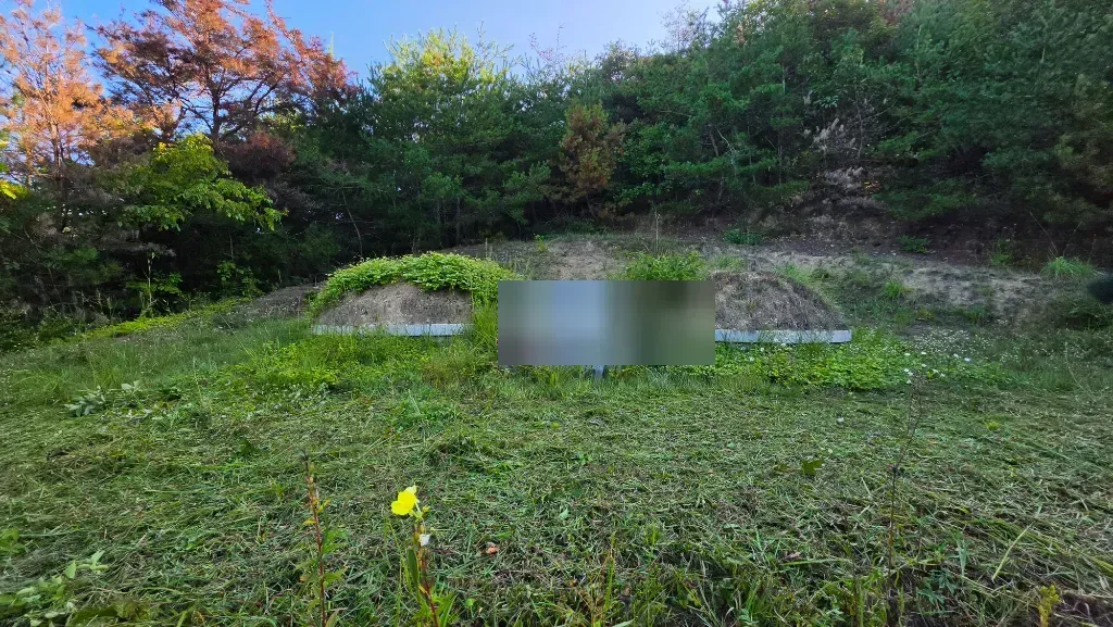 작업 전 사진 3 - 잡초가 자란 묘역 앞 경사면
