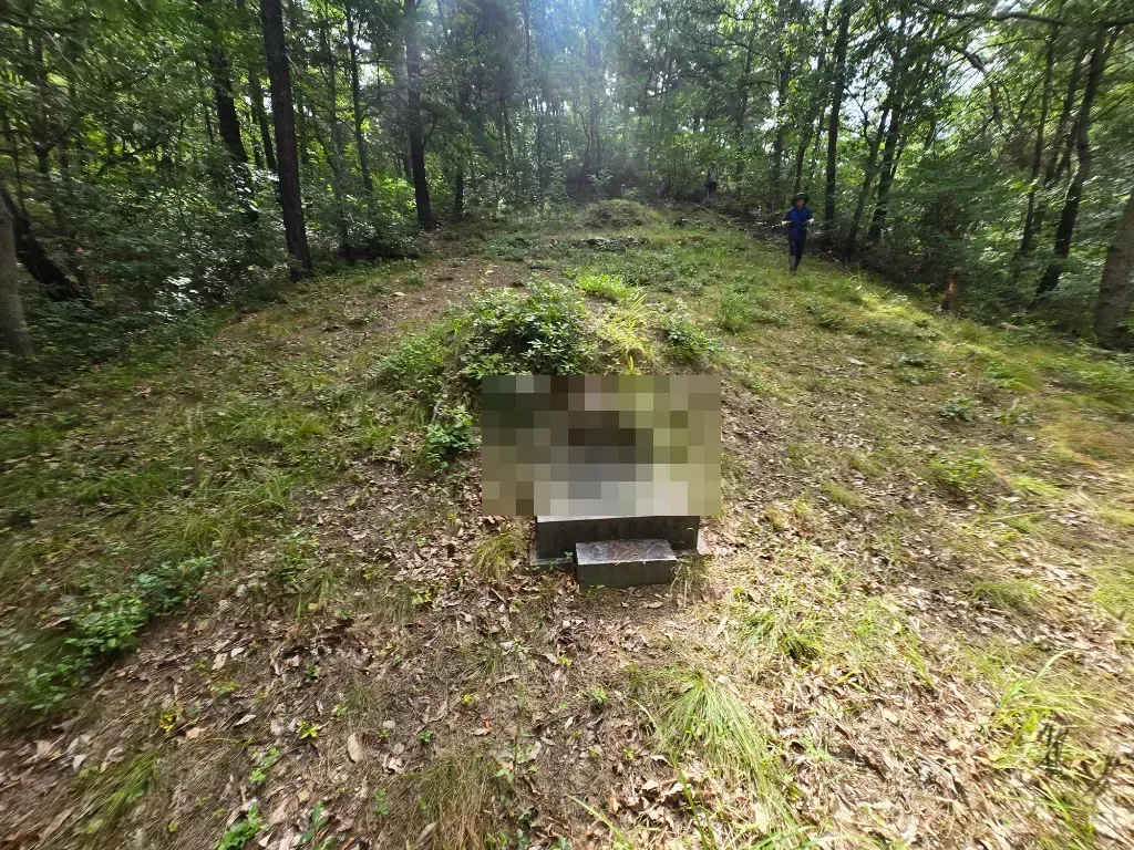 작업 전 사진 1 - 비석 주변 잡초 무성하고 정리 안 된 상태