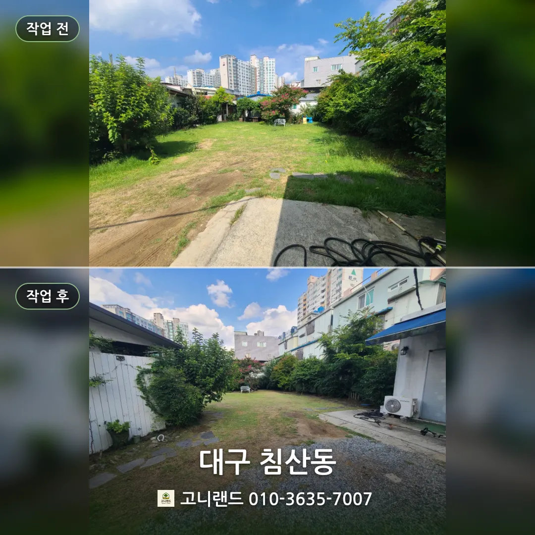 대구 침산동 주택 마당 제초. 예초기 줄날 잔디 정리 후기