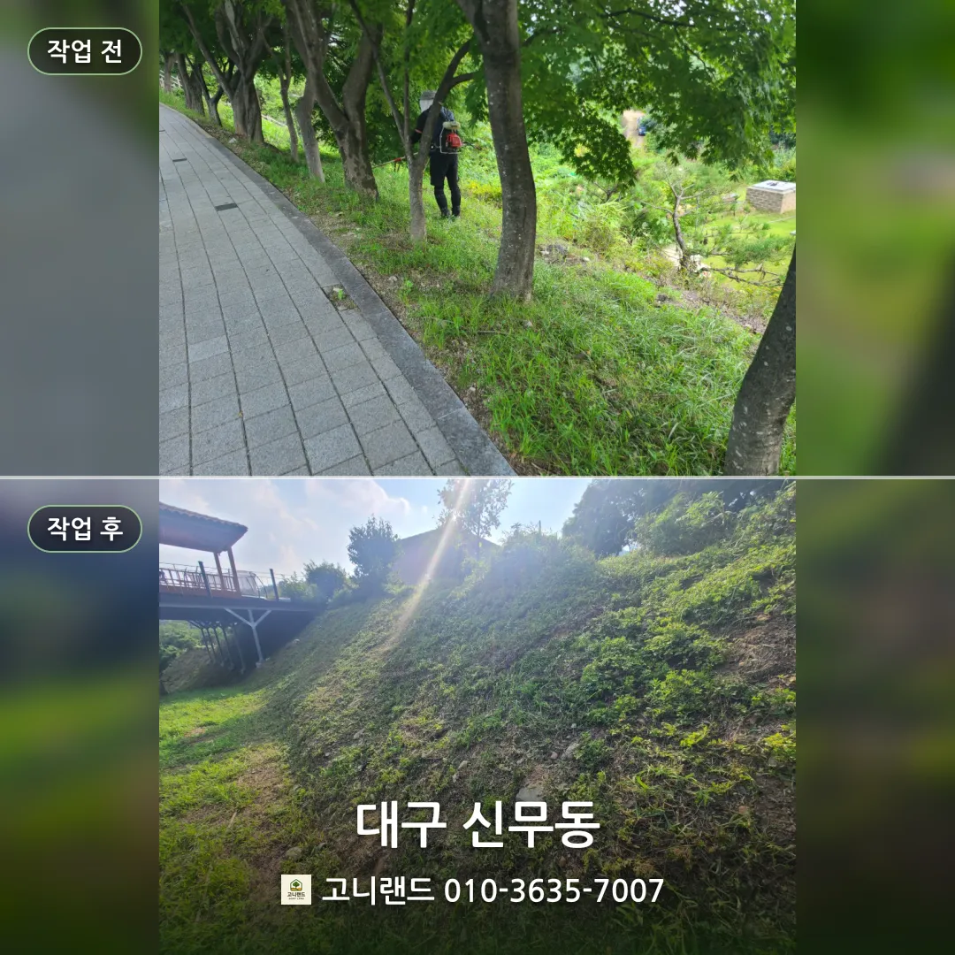 대구 신무동. 비 온 뒤 주택정리 작업 후기