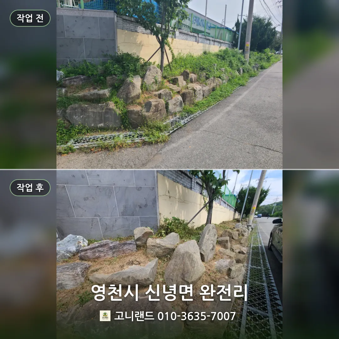 영천시 신녕면 완전리. 회사 화단 제초와 벌목 정리