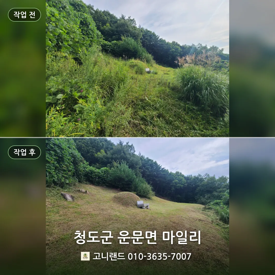 청도군 운문면 마일리. 산비탈 산소 벌초 정리