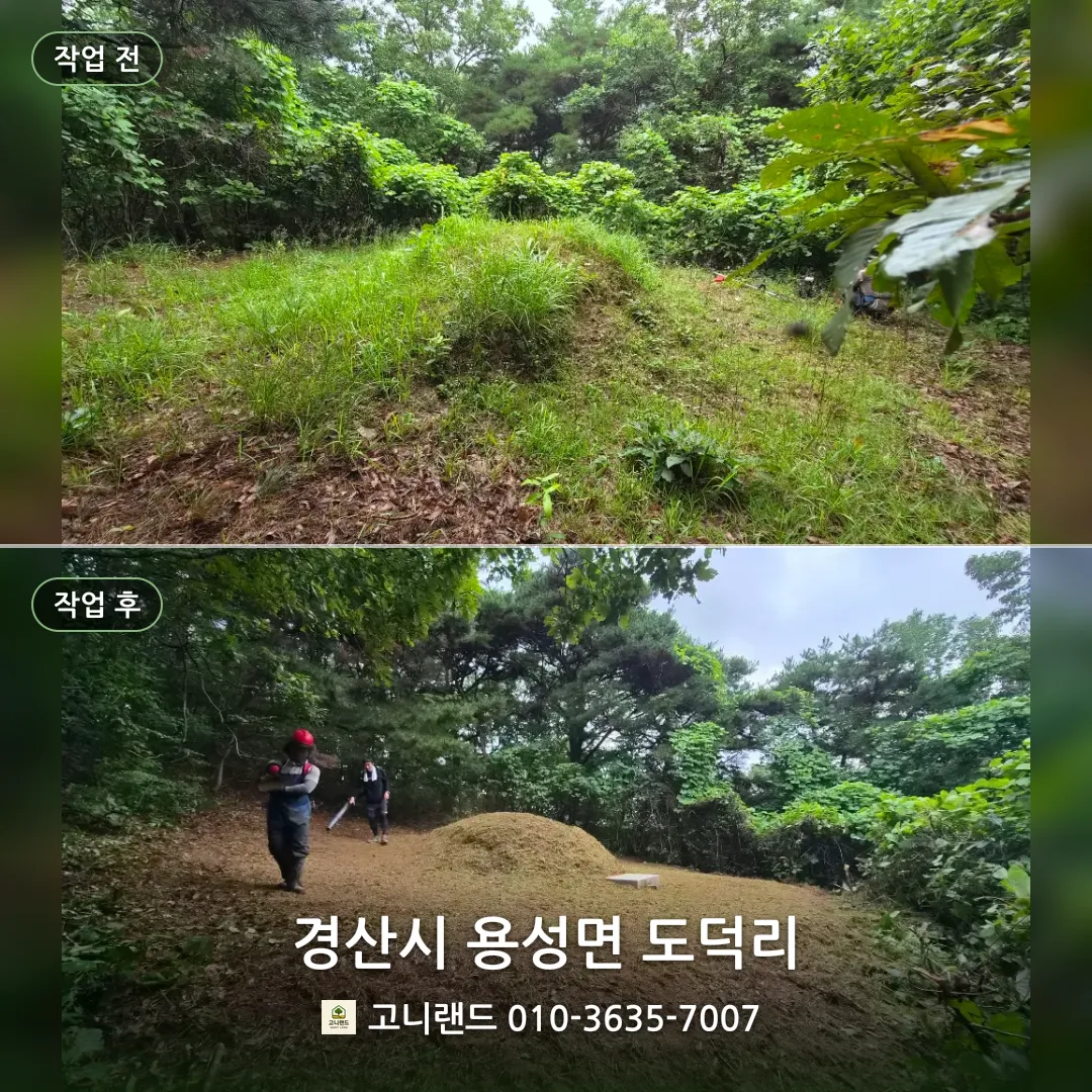경산시 용성면 도덕리. 산길 안쪽 산소 벌초