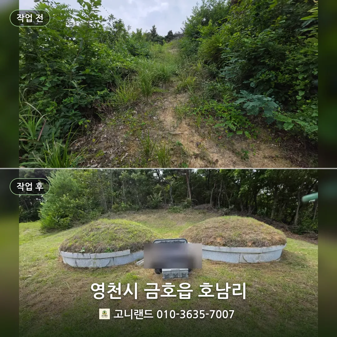 영천시 금호읍 호남리. 경사진 묘역 벌초 정리 대표이미지
