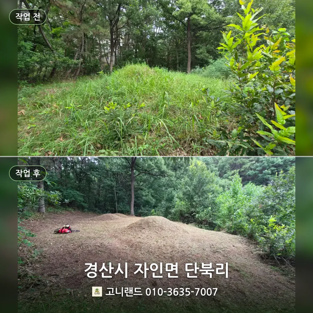경산시 자인면 단북리. 경사지 산소 벌초 정리
