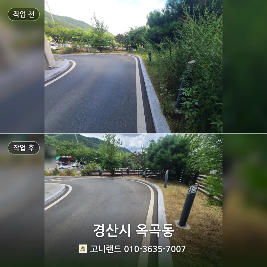 경산시 옥곡동 화단 가장자리 제초 정리