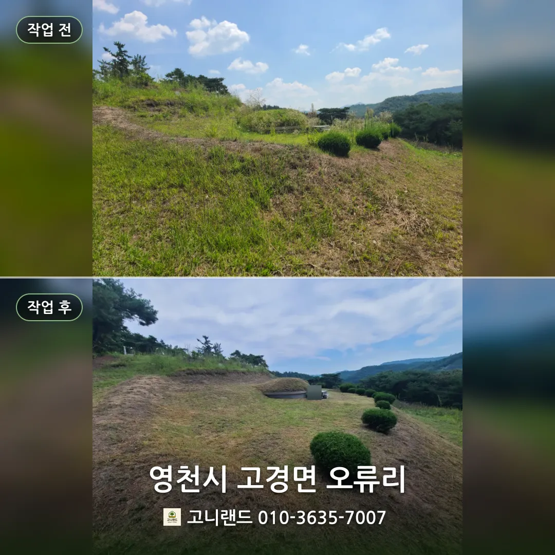영천시 고경면 오류리. 산소 벌초 정돈 기록