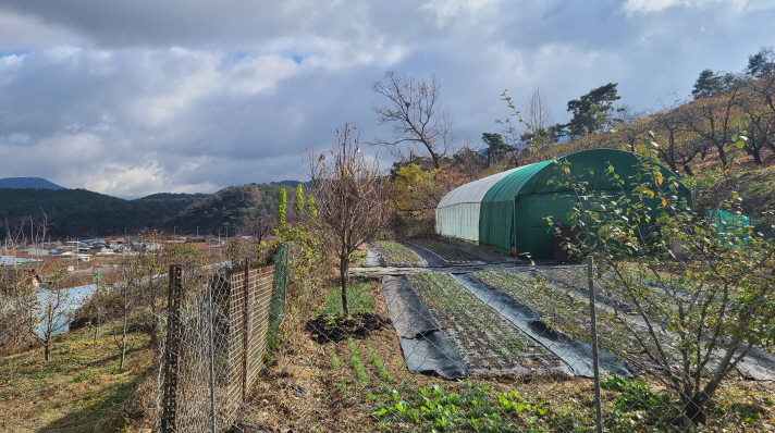 경산시 남산면 조곡리 토지매매. 730.8평. 농막+하우스+텃밭 있음. 매물 사진 3