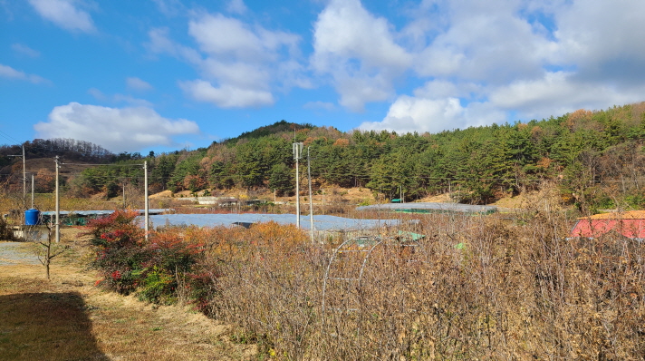 경산시 남산면 조곡리 토지매매. 730.8평. 농막+하우스+텃밭 있음. 매물 사진 5
