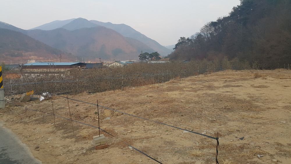<경북 영천시 화북면 토지 매매> 전원주택지 / 258평 / 평당 31만원 매물 사진 2