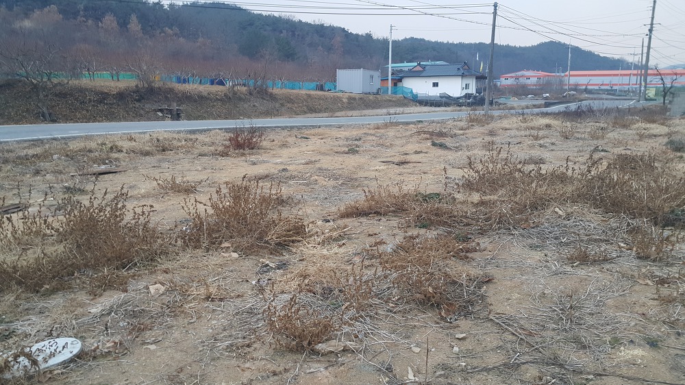 <경북 영천시 북안면 토지 매매> 전원주택지 / 계획관리 / 약 167.8평 / 평당 50만원 매물 사진 2