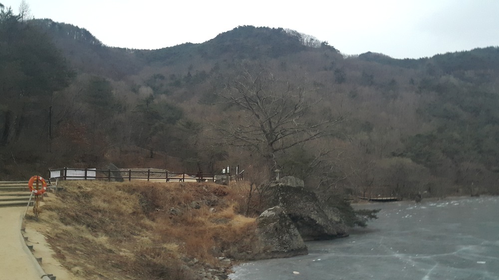 <귀농, 귀산촌 교육> 임업후계자 교육 수료. 청송 주산지 매물 사진 7