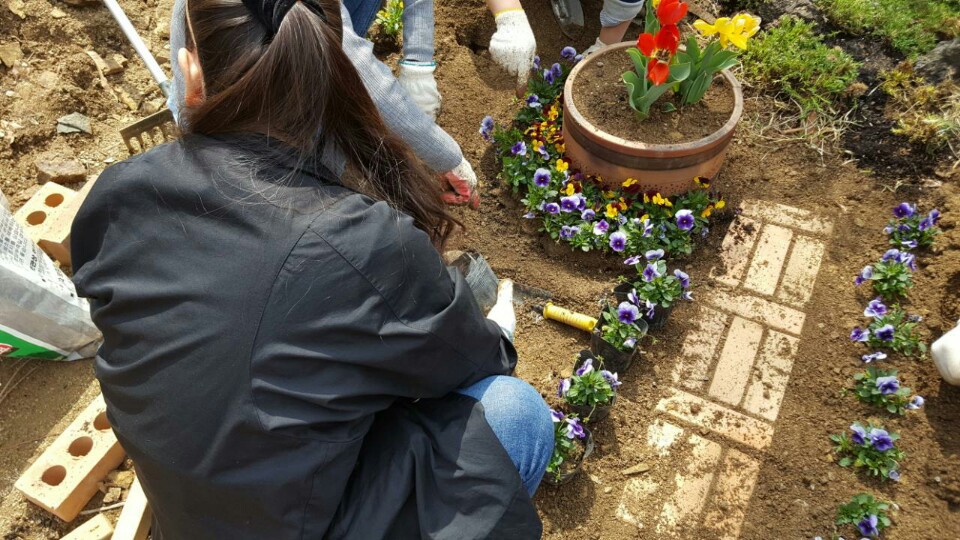 <공동주택 수목관리사 과정 \"간단한 화단 만들기\"> 만들고 보니 수목장같네요. 매물 사진 11