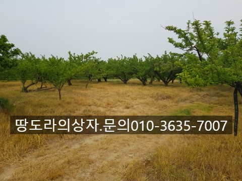 경산 와촌 땅 매매. 약 987평. 2억 8천만원. 매물 사진 2