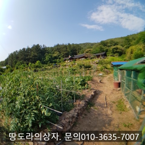 <경남 의령군 용덕면 토지매매> 계획관리. 전원주택추천. 약 392평. 매매가격 1억 3천 7백만원. 매물 사진 4
