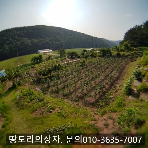 <경남 의령군 용덕면 토지매매> 계획관리. 전원주택추천. 약 392평. 매매가격 1억 3천 7백만원. 매물 사진 5