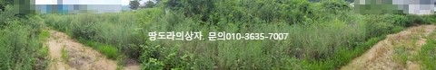<경주시 강동면 토지 매매. 9,150만원> 약 183평. 전원주택 추천. 3m도로.