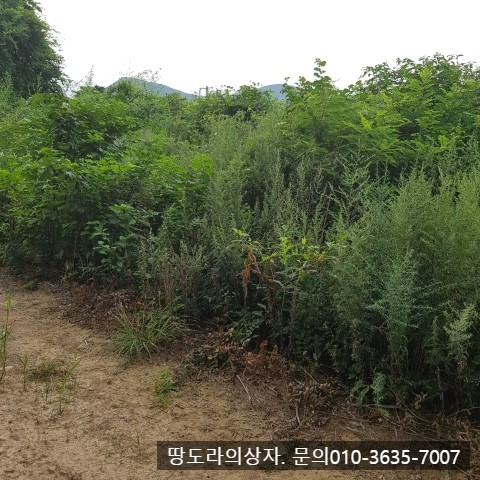 <경주시 강동면 토지 매매. 9,150만원> 약 183평. 전원주택 추천. 3m도로. 매물 사진 3