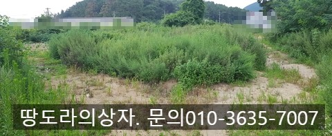 <경주시 강동면 토지 매매. 9,150만원> 약 183평. 전원주택 추천. 3m도로. 매물 사진 4