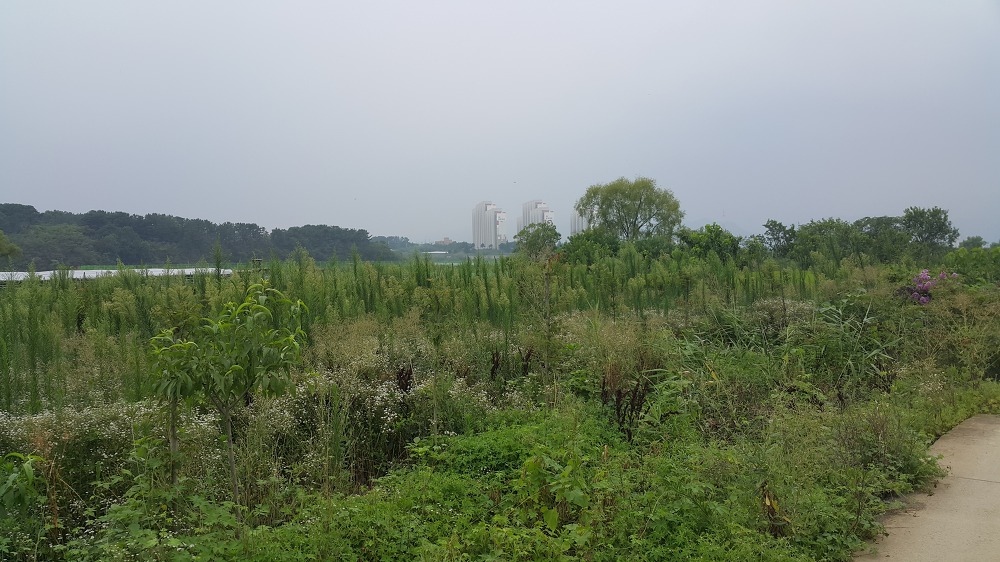 <경산 진량 토지매매> 약 466평 / 자연녹지 / 평당 60만원 매물 사진 4