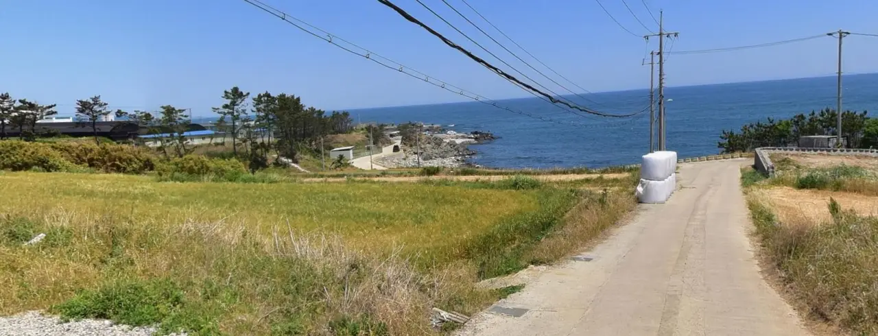 포항 호미곶 동해바다가 보이는 뷰의 근린생활시설 및 토지 매매.