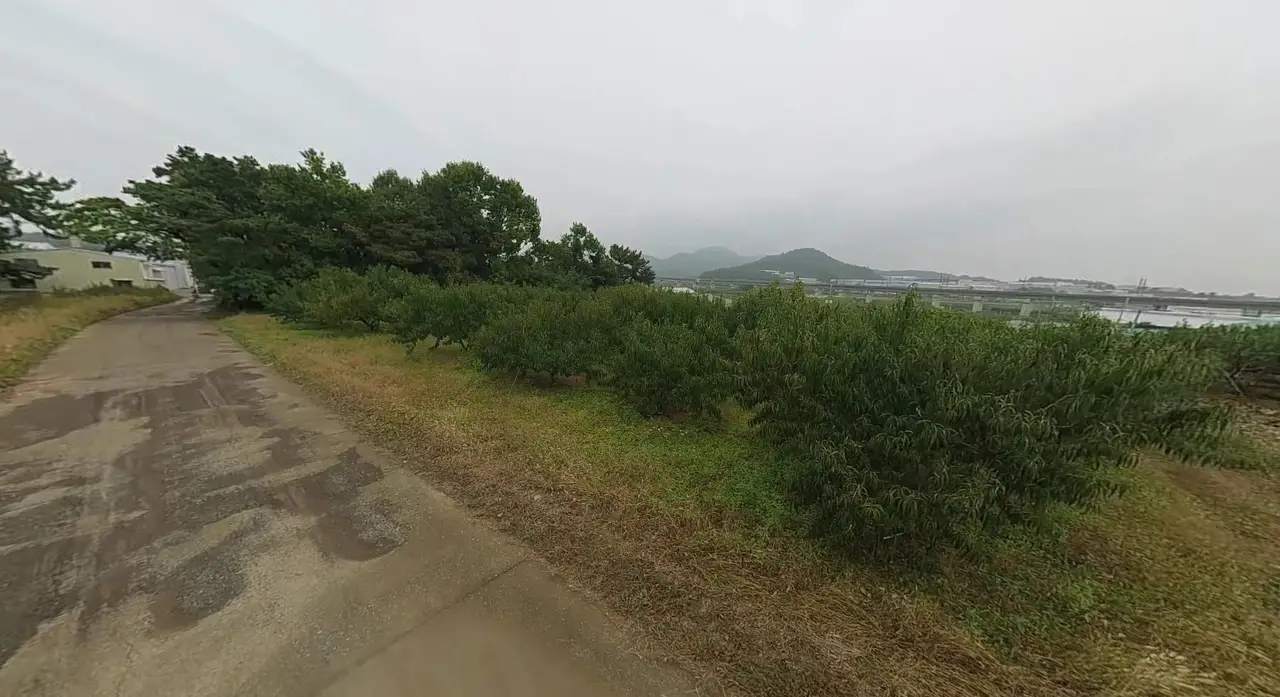 토지 매매. 경산시 진량읍 당곡리. 경산 당곡지구내 토지 매매입니다.