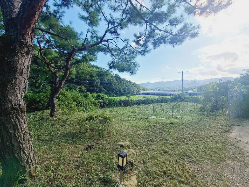 영천시 청통면 저수지 옆 주택 및 텃밭 매매. 토지 649.4평. 건평 20.3평. 매물 사진 5