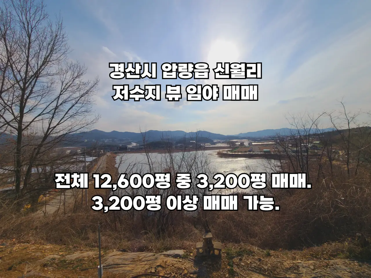 (토지 매매) 경산시 압량읍 신월리 저수지 뷰 임야 매매. 3,200평.