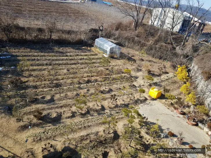 의성군 점곡면 2층상가+3층주택+토지 매매. 매물 사진 28