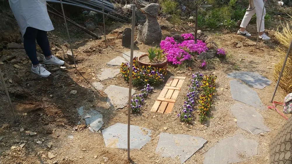 <조경실습 4주차> 초화류 월동관리, 수피감기, 지주목세우기, 산울타리식재 매물 사진 4