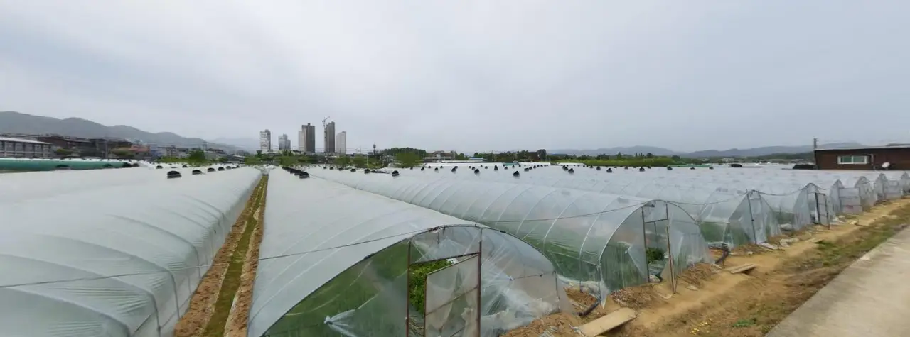 (토지매매) 성주군 성주읍 토지 매매. 2014평. 평당 40만원(조절가능). 매물 사진 3