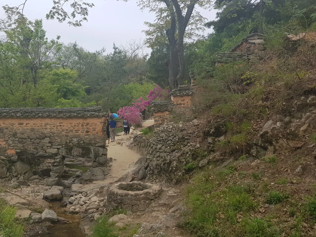 (4점) 전남 담양, 호남의 3대 정원 중 하나인 '양산보의 소쇄원'에 다녀오다 작업 사진 13