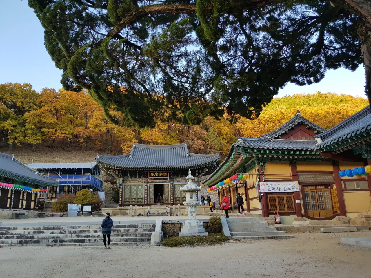 (4점) 영천시 청통면 팔공산 자락 천년고찰. '은해사' 걷기 좋은 곳. 작업 사진 8