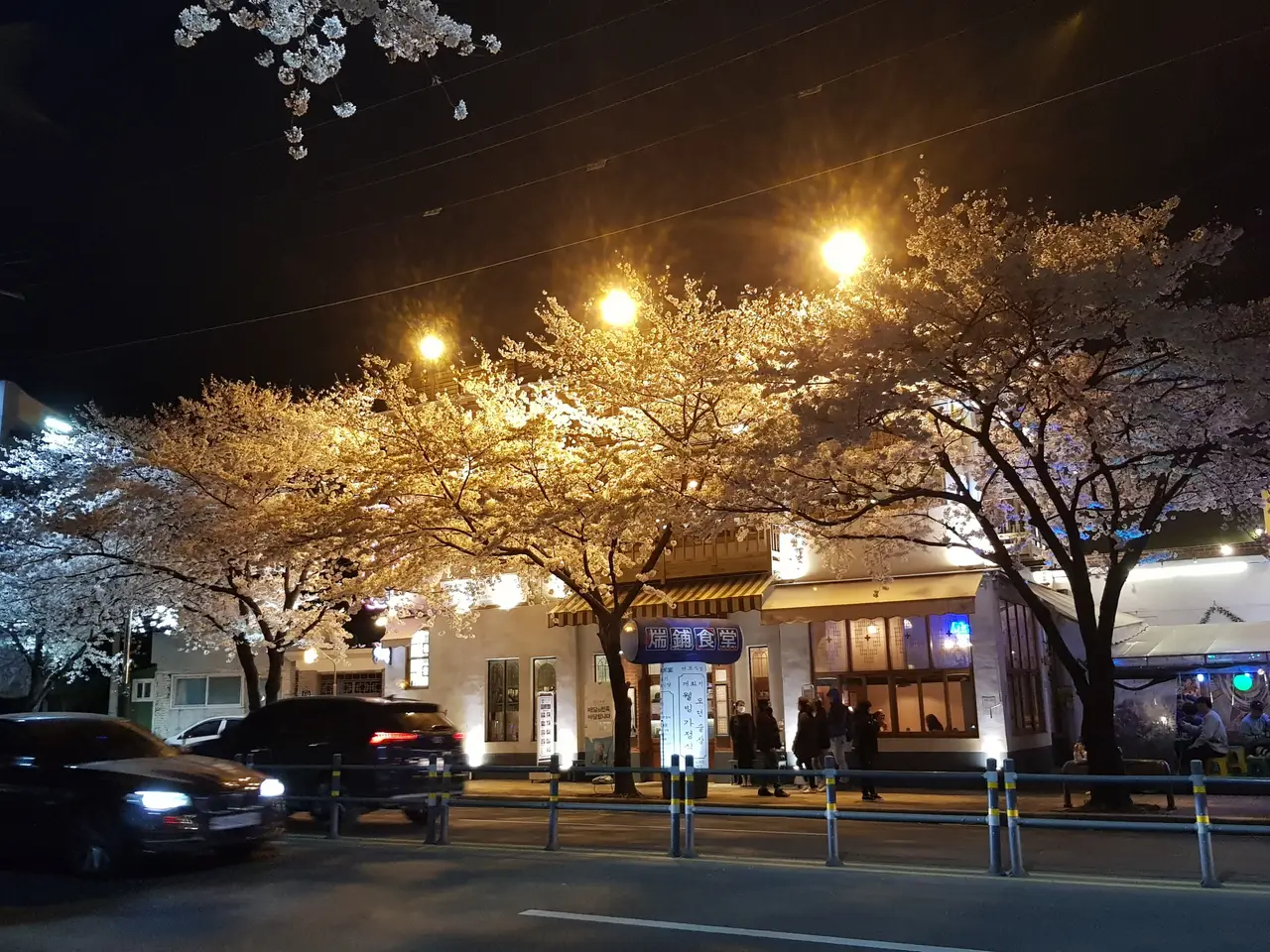 (4점) 이월드 벚꽃 대신하여 다녀온 앞산 벚꽃 로드 (만족!) 작업 사진 17