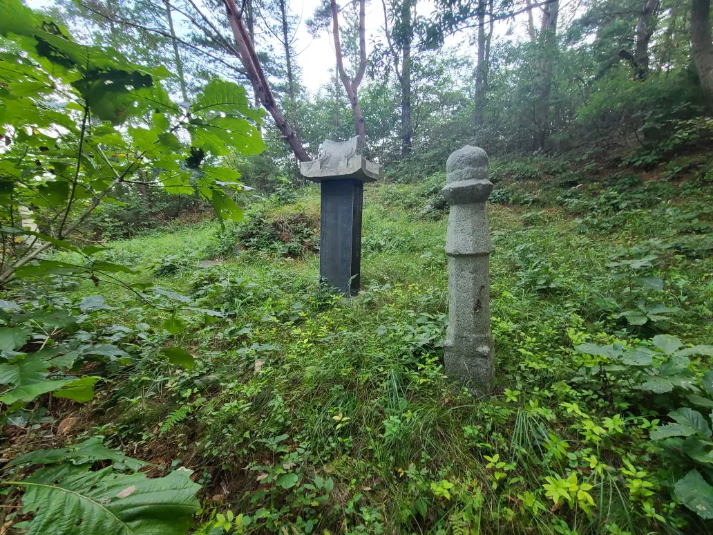 영천시 고경면 벌초 다녀왔습니다. 작업 사진 3