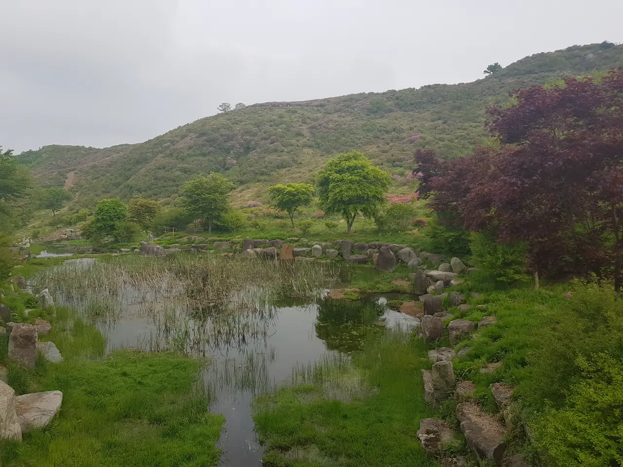 (5점) 5월 놓치면 안 되는 봄꽃 여행지 경남 합천 '황매산 철쭉' 작업 사진 7