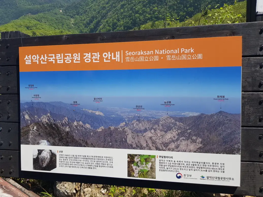 (5점) 6월 설악산 무박2일 등산 (오색->대청봉->소청->봉정암->영시암->백담사 코스) 작업 사진 21