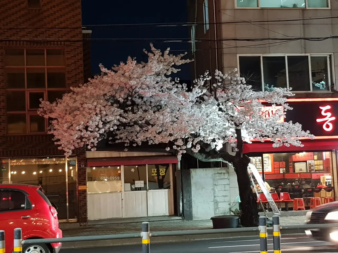 (4점) 이월드 벚꽃 대신하여 다녀온 앞산 벚꽃 로드 (만족!) 작업 사진 15