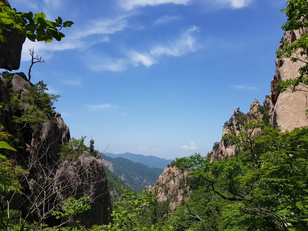 (5점) 6월 설악산 무박2일 등산 (오색->대청봉->소청->봉정암->영시암->백담사 코스) 작업 사진 29