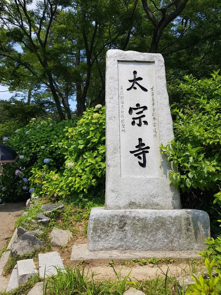 부산 영도구 태종대 태종사 수국여행. 국내 최대 수국 군락지(?). 태종대 수국 포토존. 태종대 분홍집. 작업 사진 3