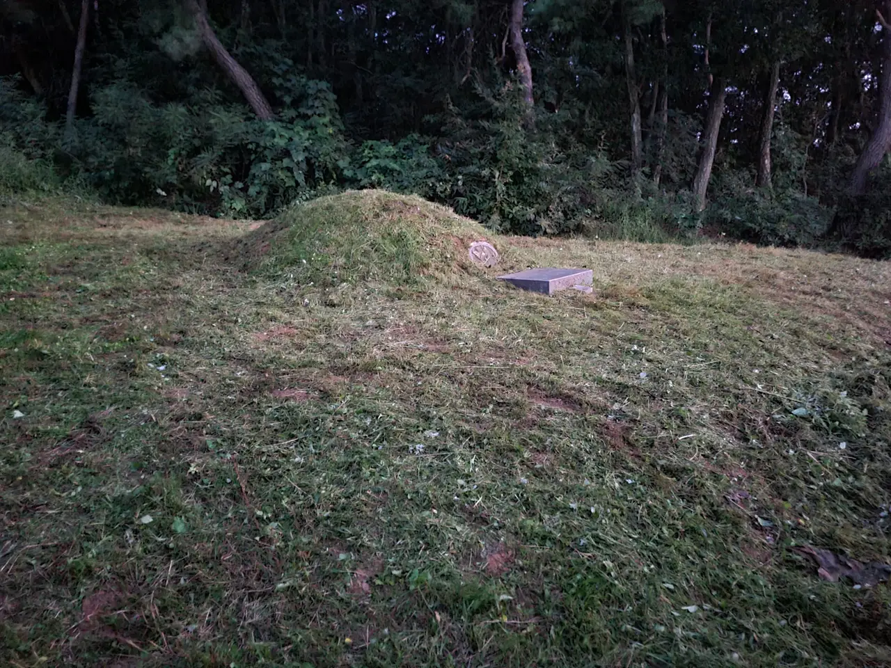 (벌초 대행) 영천시 화산면, 경산시 자인면, 남천면 산소 벌초 다녀왔습니다. 작업 사진 6