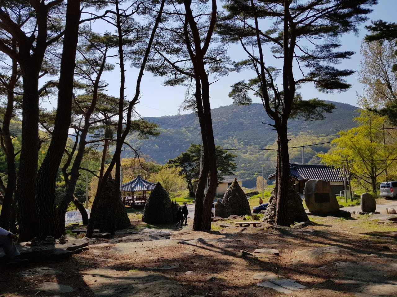 2020년 아쉬운 비슬산 참꽃. 유가사=>천왕봉=>참꽃군락지=>유가사 코스 작업 사진 79