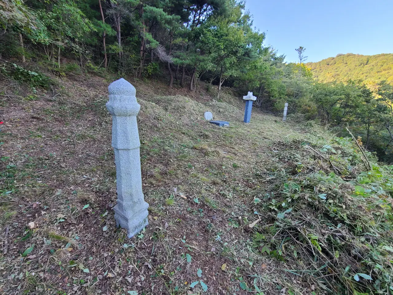 (벌초 대행) 경산시 남천면, 하양읍 벌초후기. 작업 사진 6