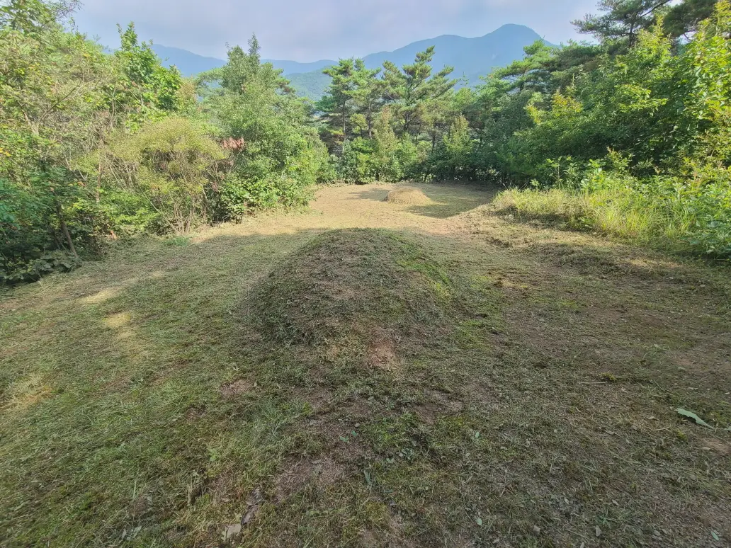 (벌초 대행) 영천시 고경면, 대창면, 북안면, 신녕면, 임고면, 청통면, 화남면, 화북면, 화산면 벌초 후기. 가격. 작업 사진 72
