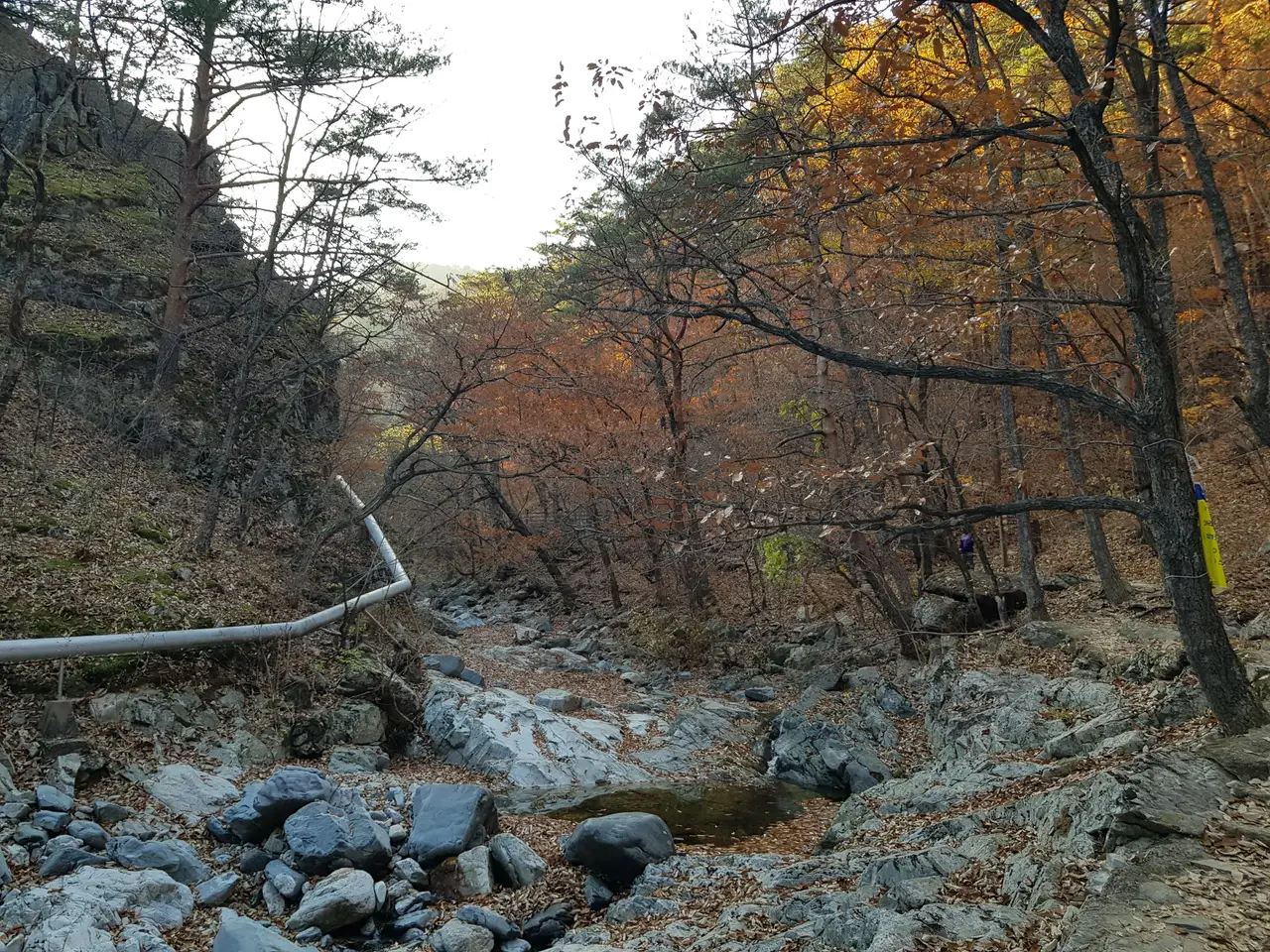 (4점) 울진군 북면 덕구온천. 트래킹 and 온천물 족욕 체험 '덕구계곡' 작업 사진 24