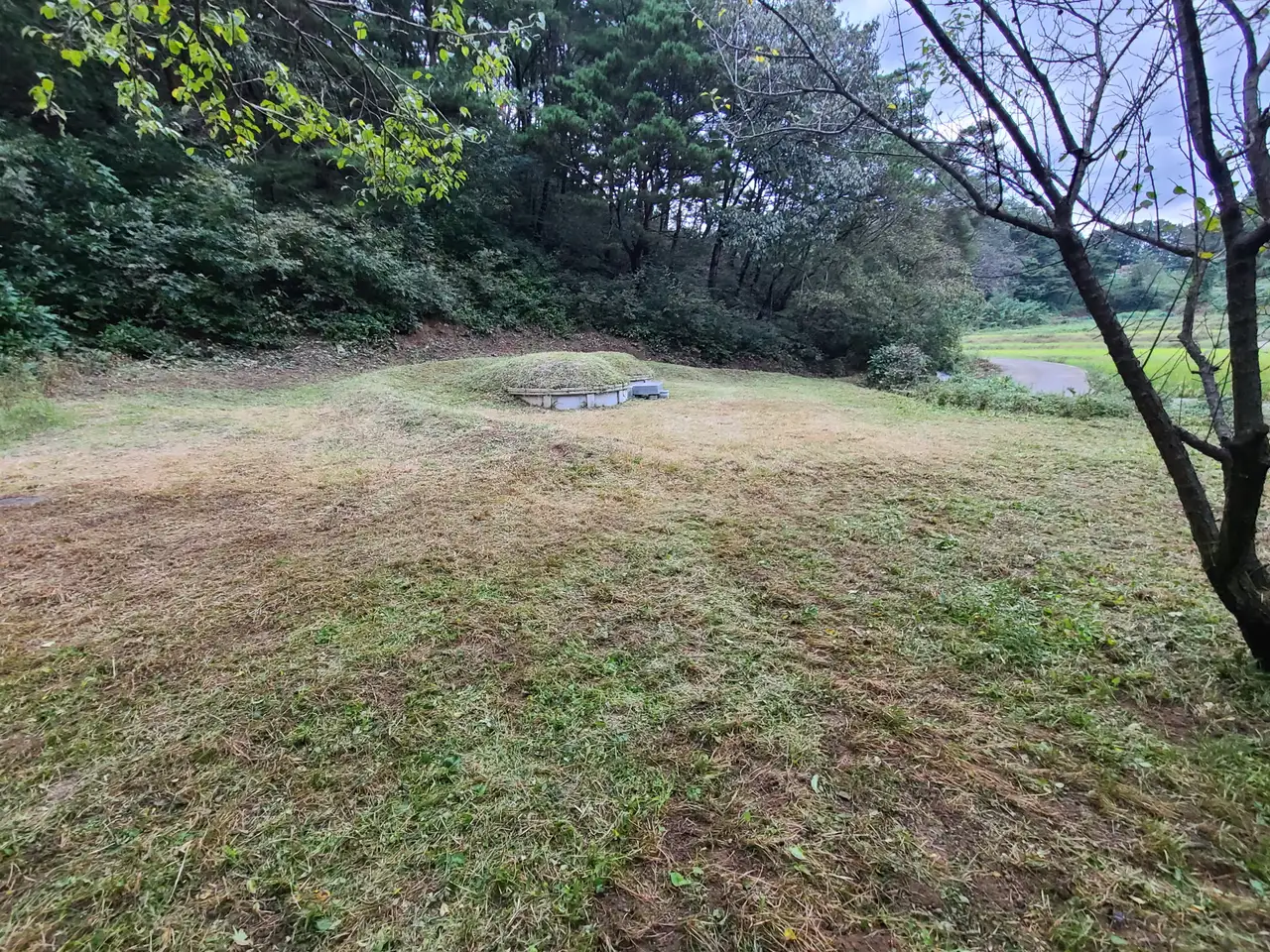 (벌초 대행) 영천 신녕면 화성리, 대창면 직천리, 청통면 치일리 벌초 작업 사진 22