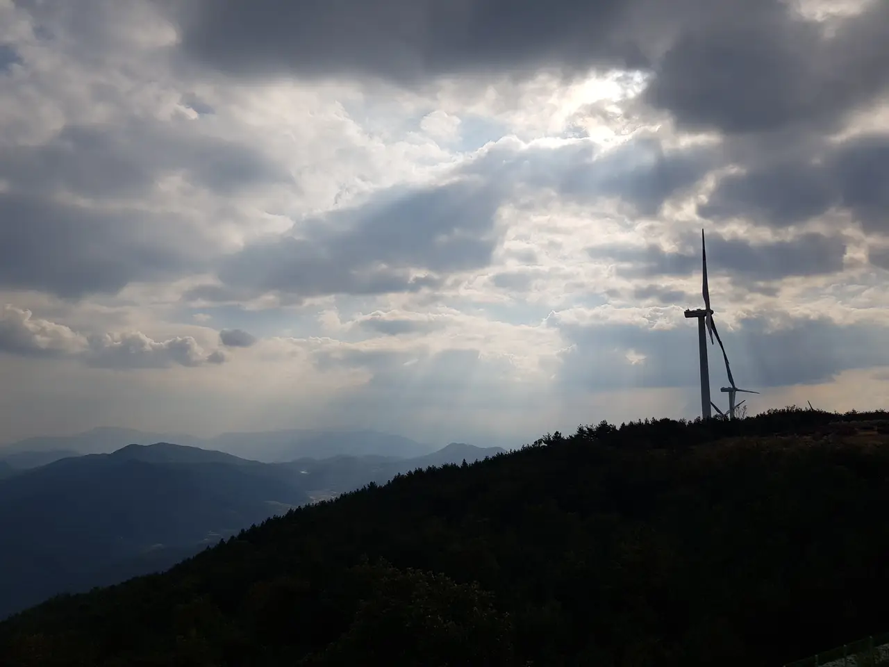 (1점) 경남 거창 감악산 국화. 분통 터지고 시간만 날리고 옴. 작업 사진 12
