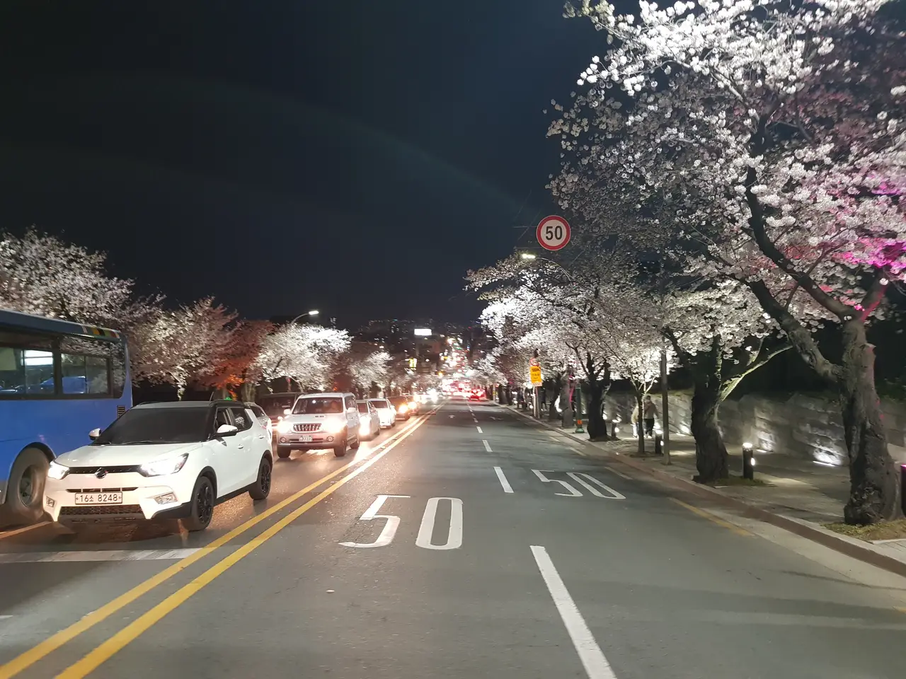 (4점) 이월드 벚꽃 대신하여 다녀온 앞산 벚꽃 로드 (만족!) 작업 사진 10